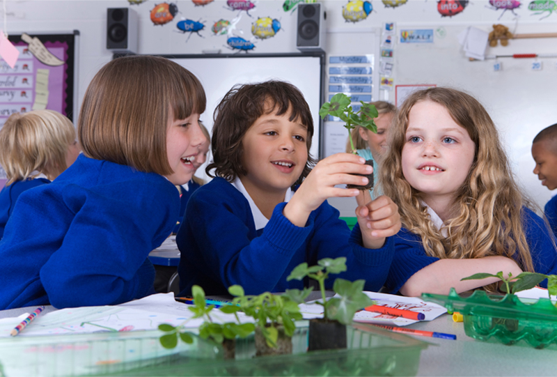 A group of school kids sitting together smiling and observing a plant seedling in a classroom